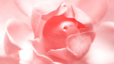 Ξέρετε ότι το pH του κόλπου σας αλλάζει ανάλογα με την περίοδο της ζωής σας;